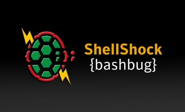 shell shell